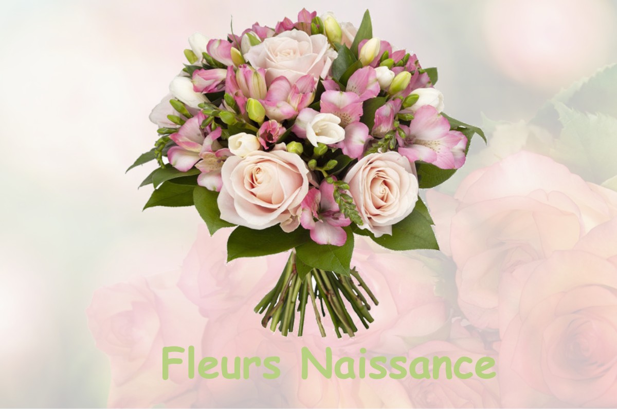 fleurs naissance SAINT-FELIX-DE-VILLADEIX