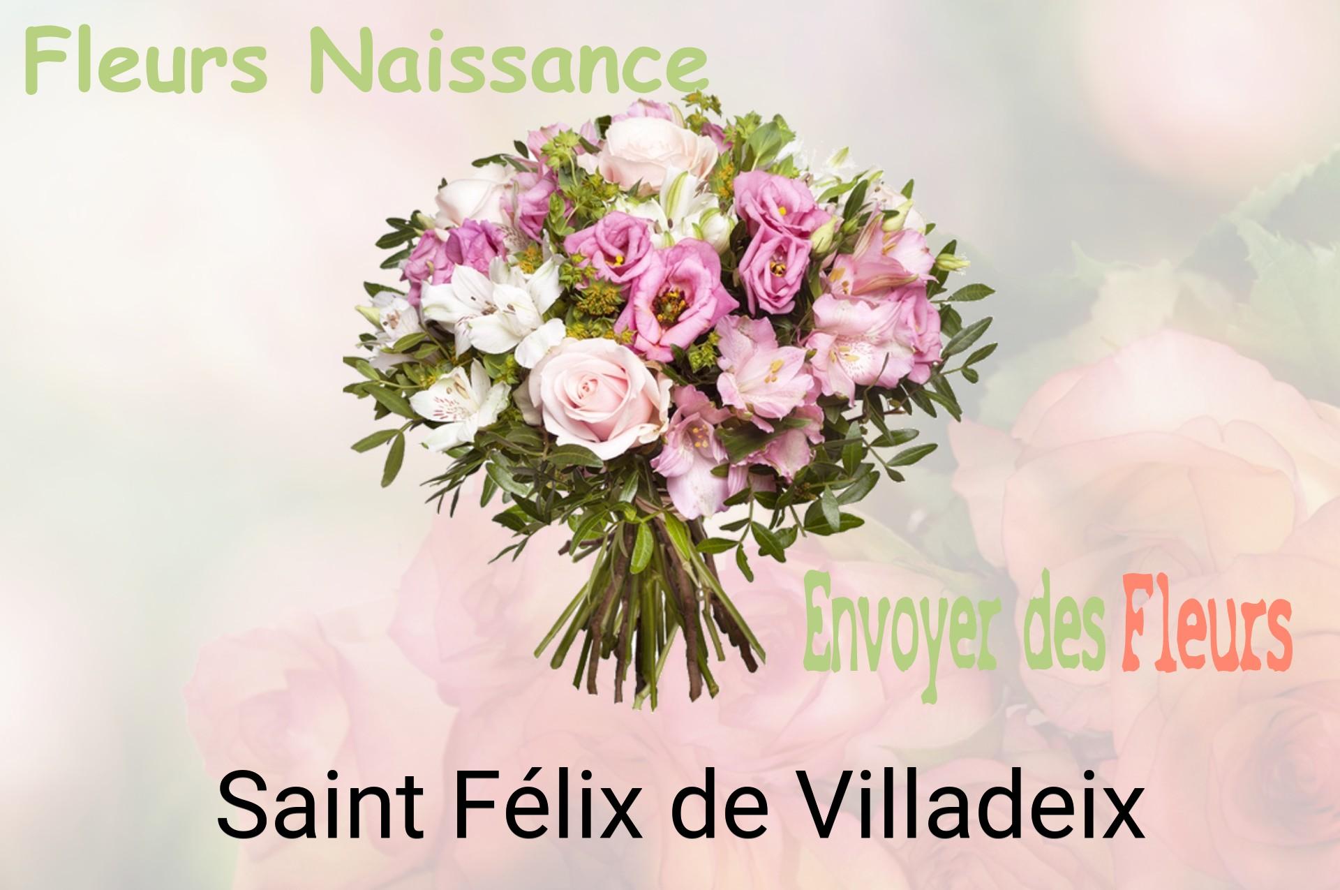 Bouquet de fleurs de naissance livré à Saint-Félix-de-Villadeix